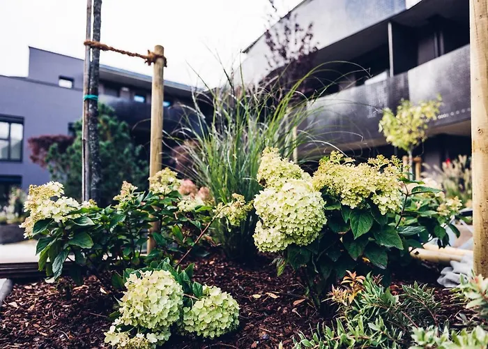 Alp Living Self-check In Apartment