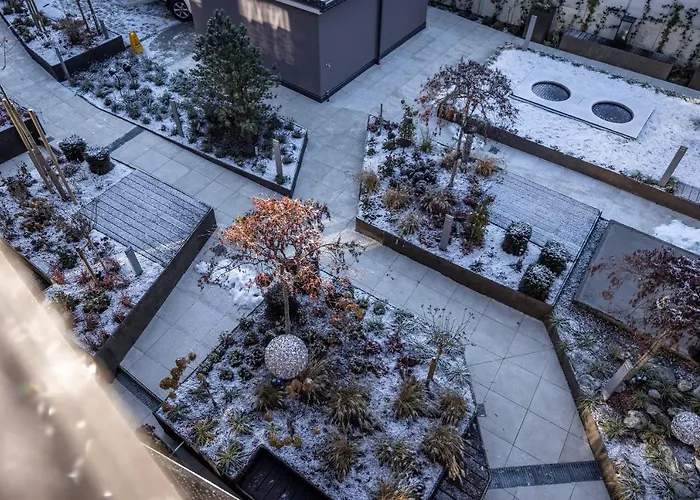 Alp Living Self-check In *