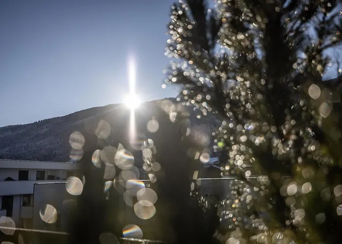 Alp Living Self-check In * إنسبروك