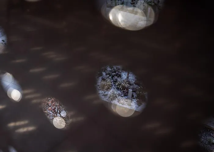 Alp Living Self-check In