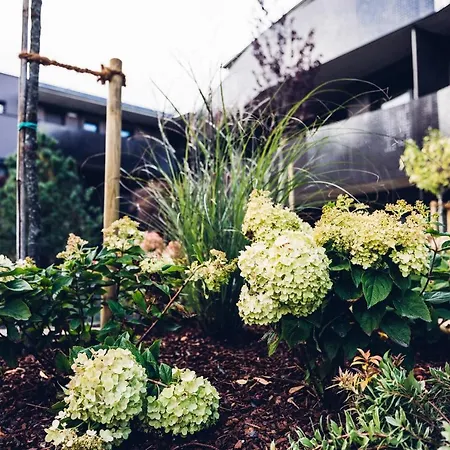 Alp Living Self-check In Daire