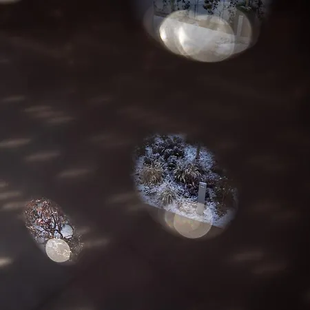 Alp Living Self-check In